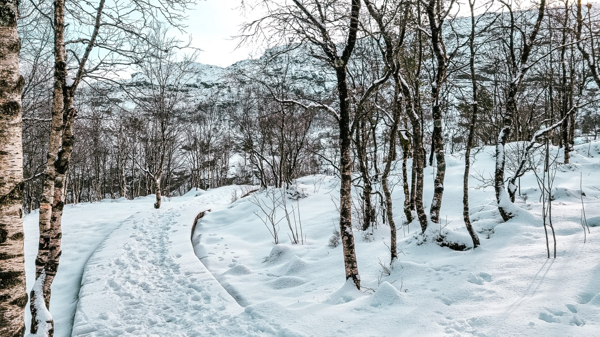 Vinterlandskap på vei til Preikestolen