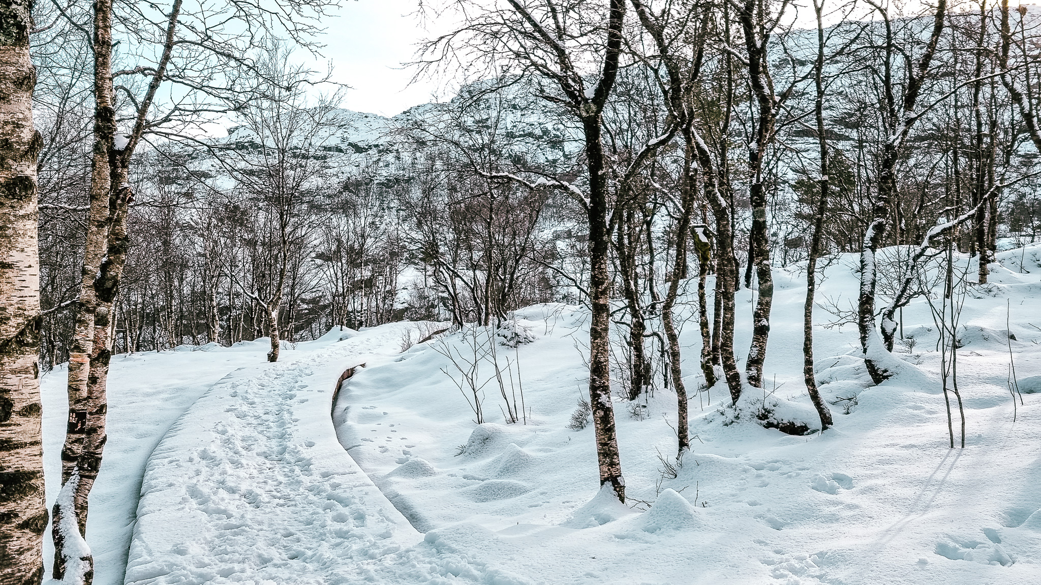 Vinterlandskap på vei til Preikestolen