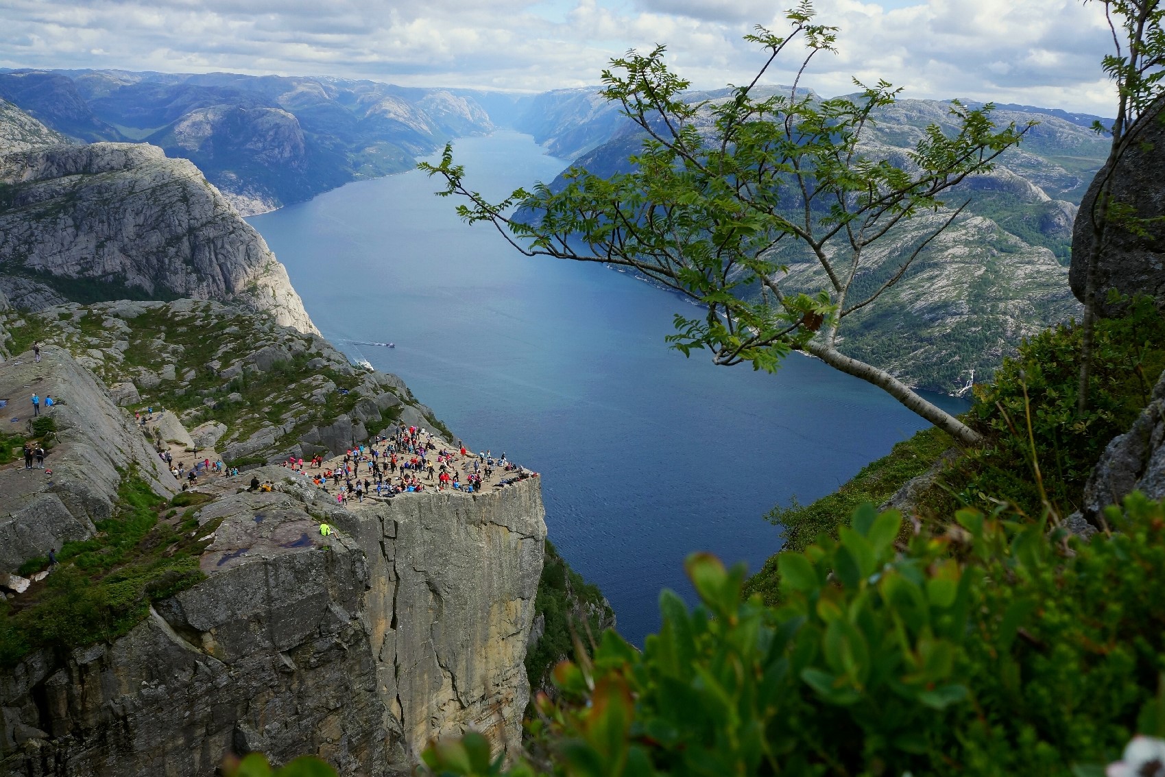 Preikestolen plateau with a stunning view of Lysefjord stretching towards Lysebotn, surrounded by lush green vegetation on a summer day.