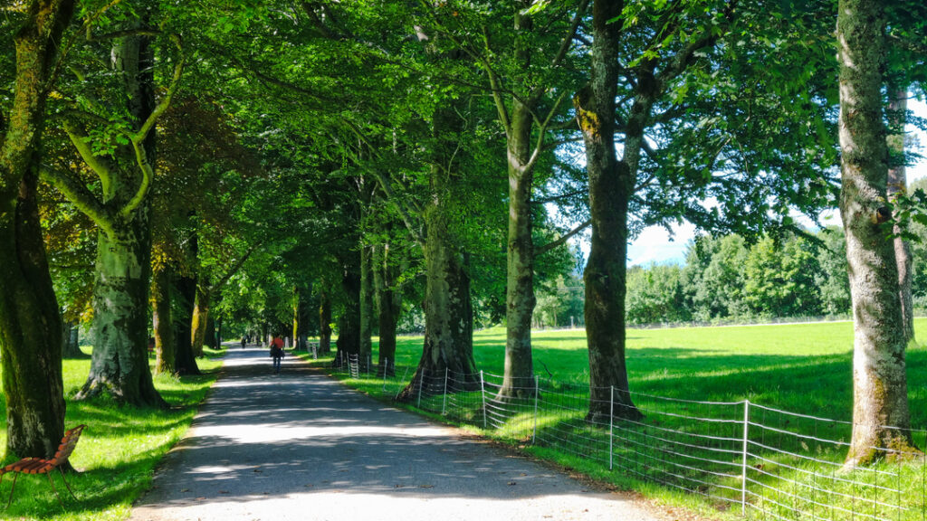 Tre aleen fra Rosendal til Baroniet