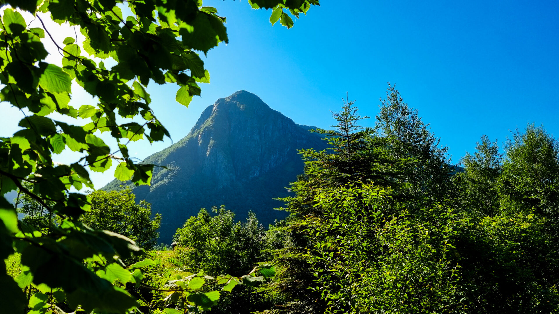 Green surroundings in Rosendal
