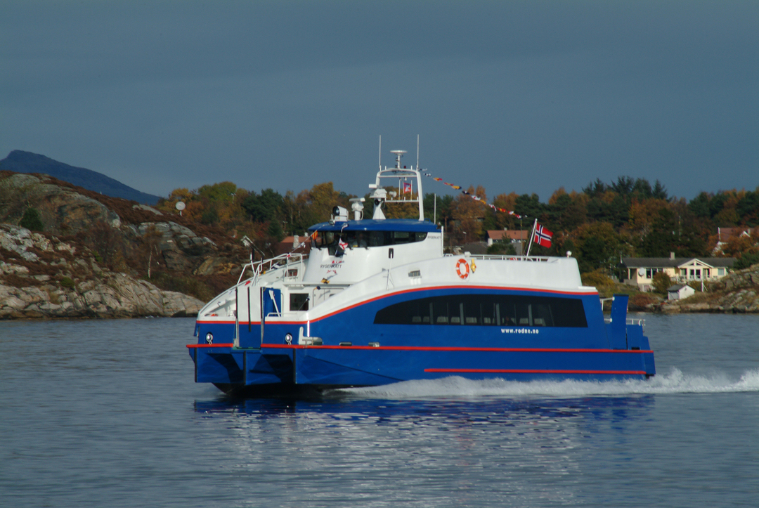 Rygerkatt på fjorden