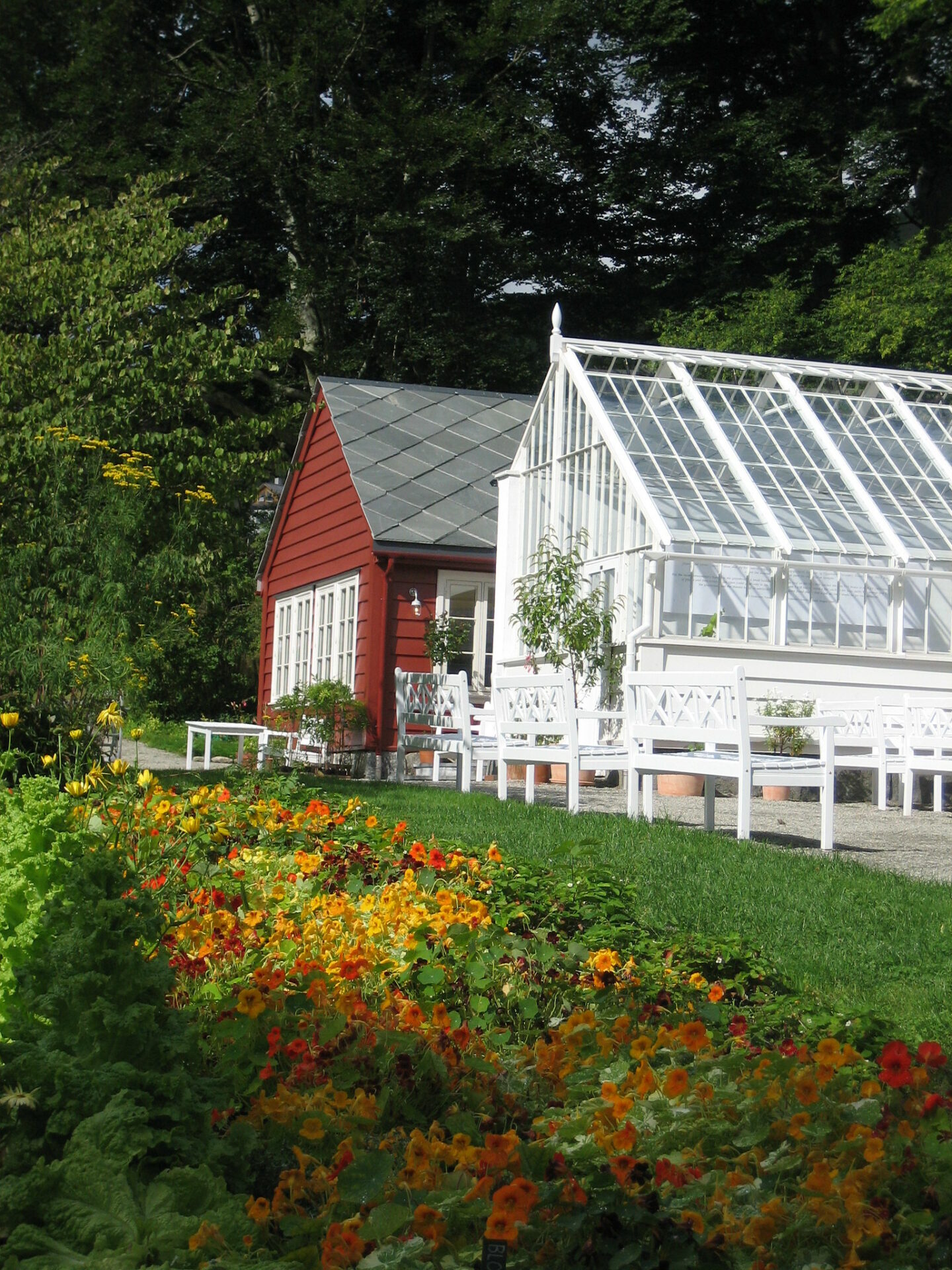 Kafeen i urtehagen