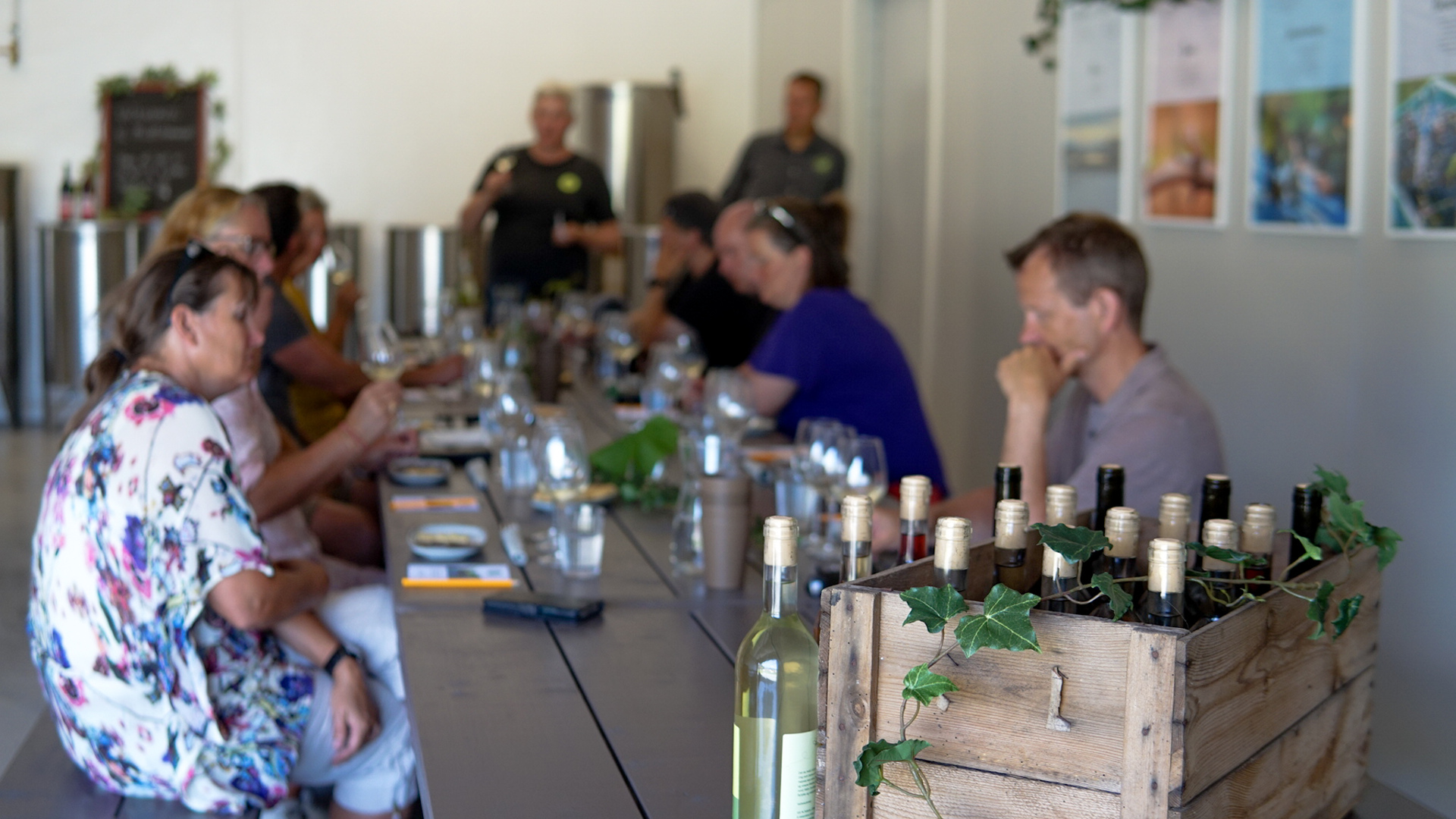 Vinsmaking hos Hebnes vingård