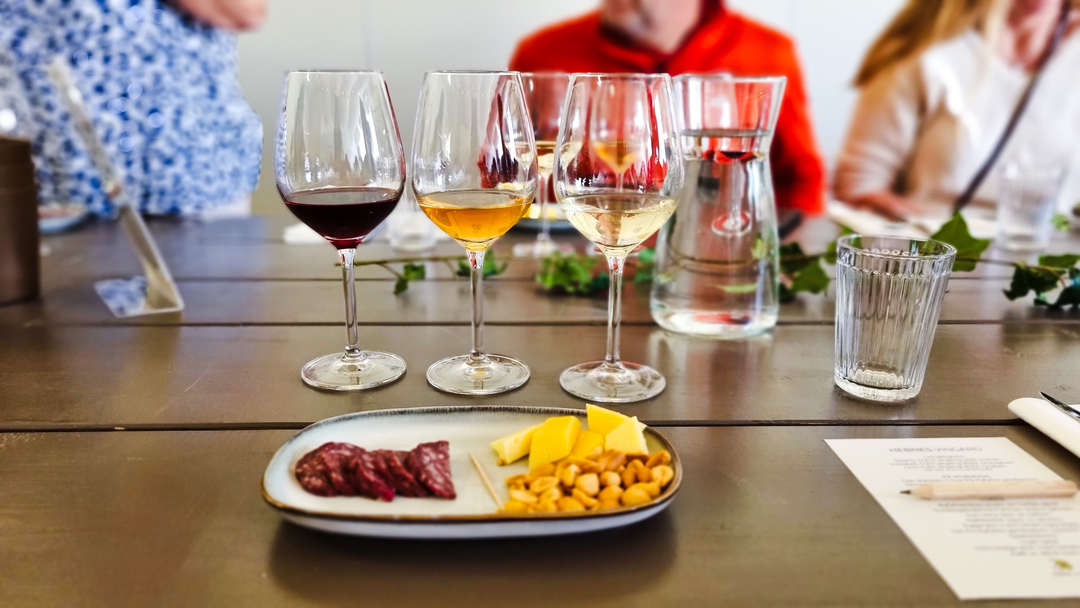 Vin og tapas på Hebnes vingard