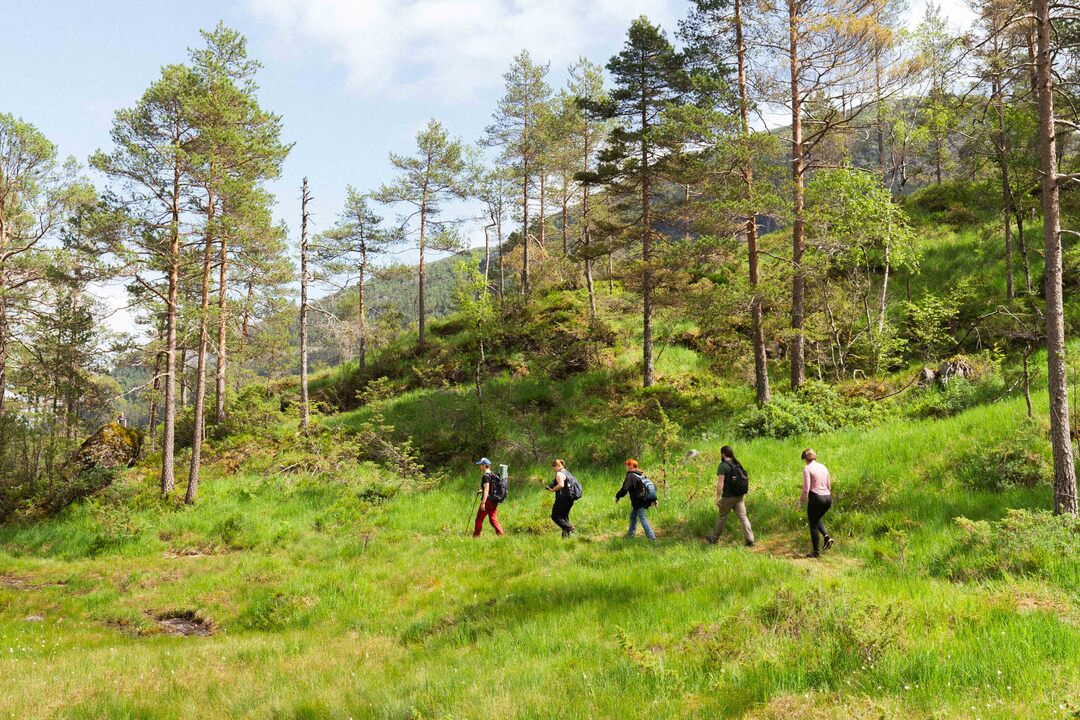 Fjellguide leder fire turgåere opp en grønnkledd sti mot Slottet nær Bergen og Mo, omgitt av frodig natur og majestetiske fjell.