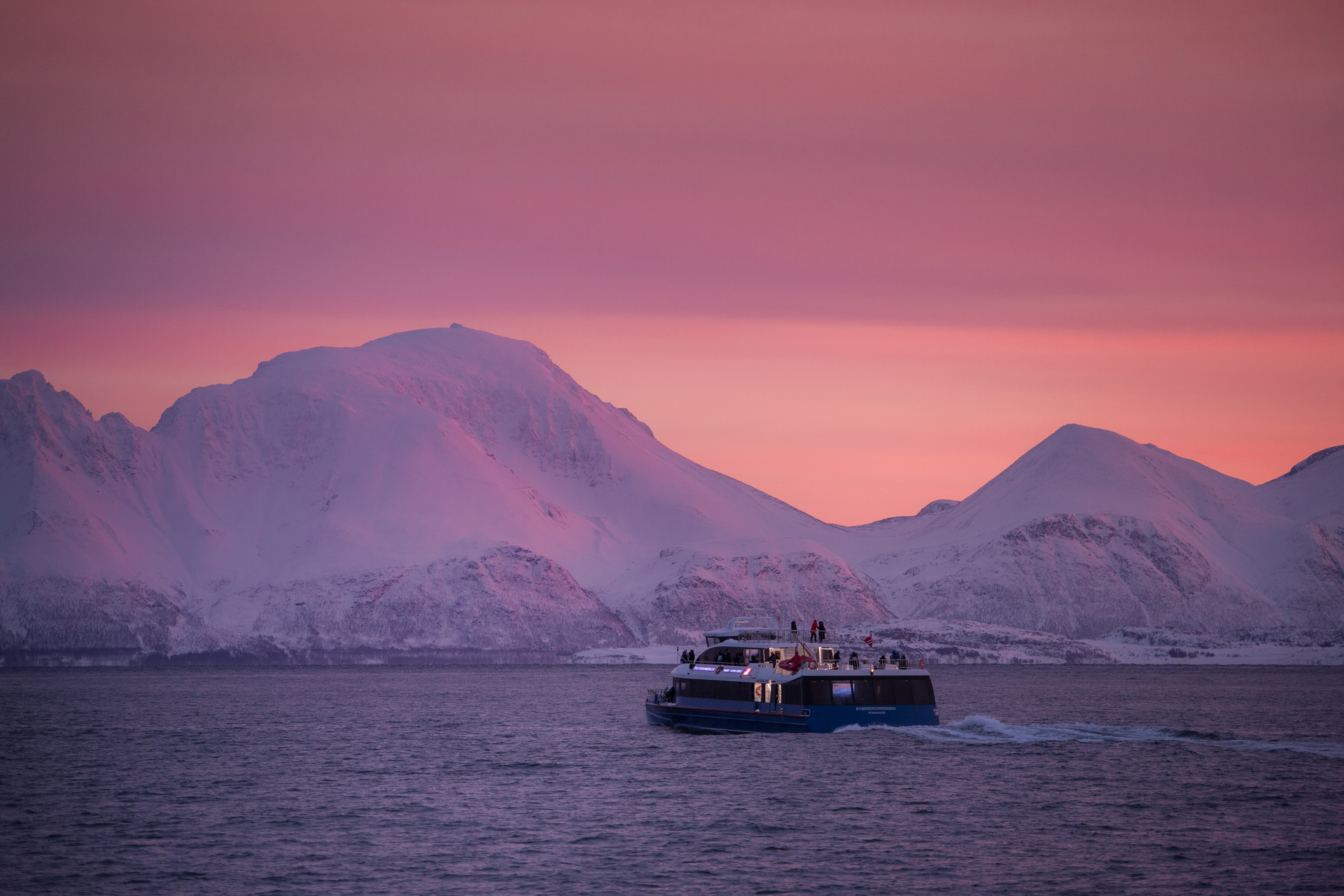 Tromso Whalewatching