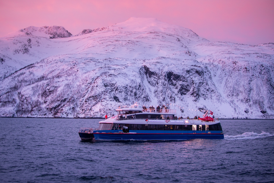 Rødne whale safari boat sailing Tromsø fjords with pink polar light on the horizon