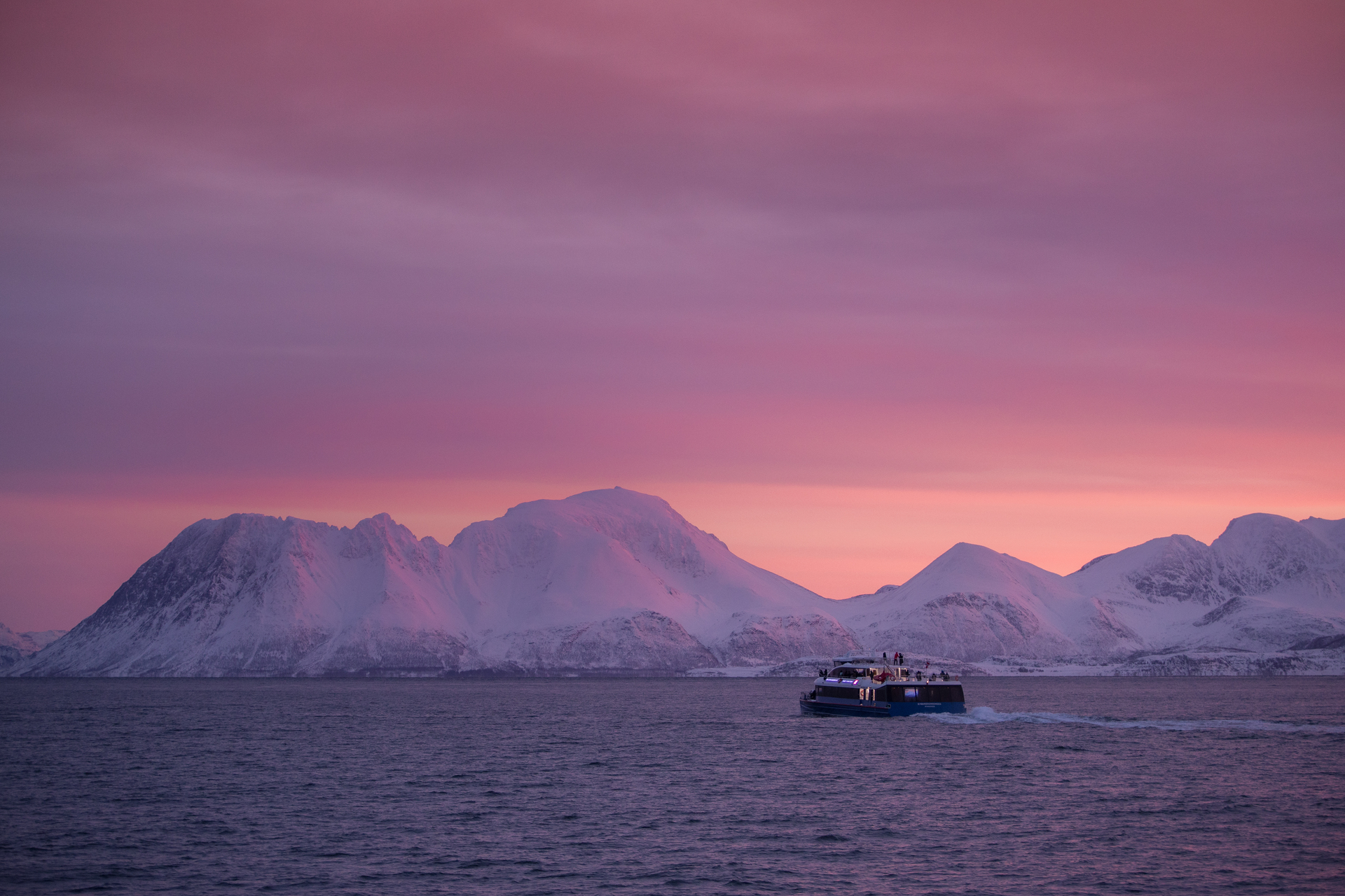 Arktisk fjord cruise fra Tromsø
