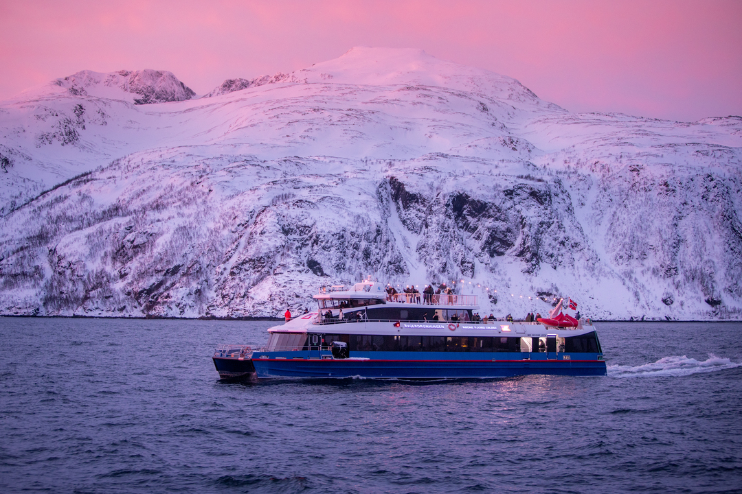 Hvalsafari Tromsø