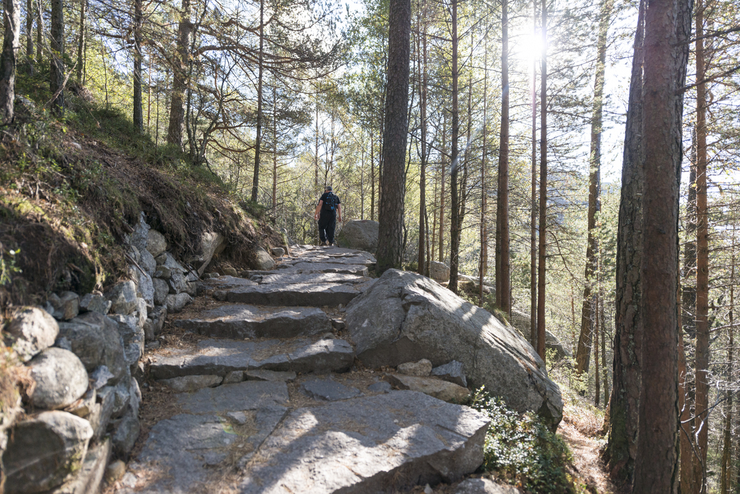 Stone steps built by Nepalese Sherpas leading up to Preikestolen, with a hiker making his way through the scenic mountain terrain.