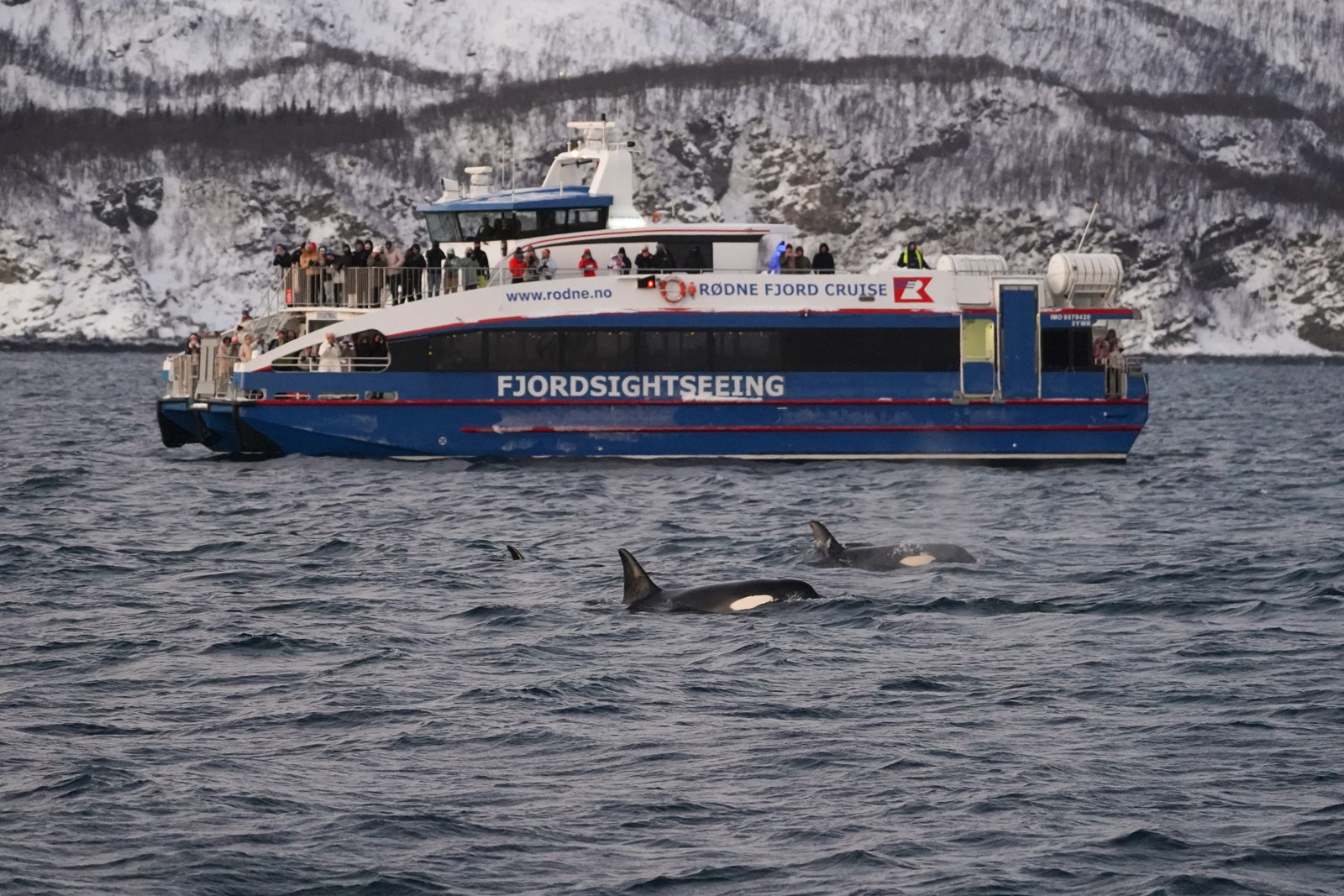 Catamaran filled with passengers on a whale watching boat tour in Tromsø, surrounded by Arctic fjords, snow-covered mountains and curious orcas.