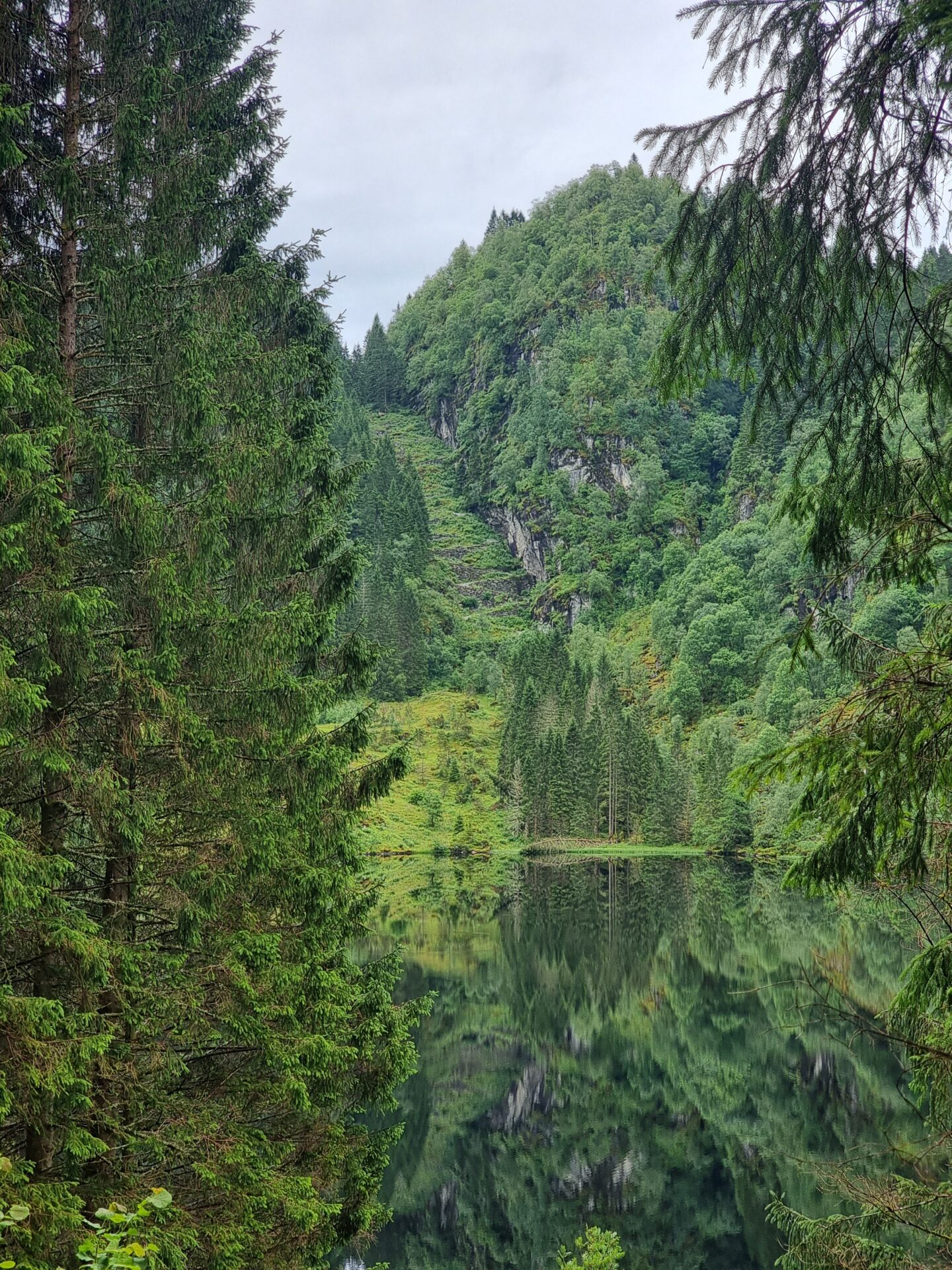 Peaceful lake surrounded by dense forest and mountain slopes in Kossdalen. In the far back you can see the hairpin bends of Kossdalssvingane.