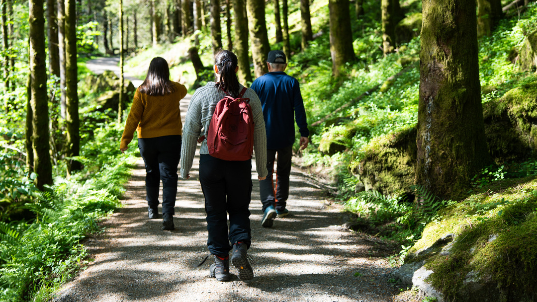 A small group of hikers walking along a forest path near Hosanger.