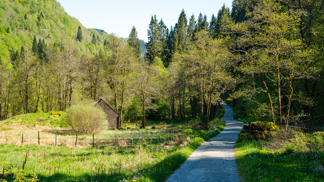Scenic norwegian landscape surrounding Kossdalssvingane hiking trail. A small cabin amongst the trees