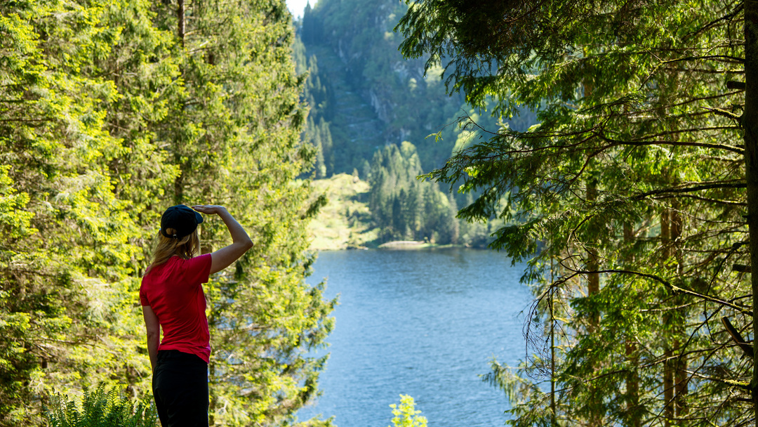 En dame ser ut mot Kossdalssvingane mellom grønnkledde trær og Kossdaslsvatnet