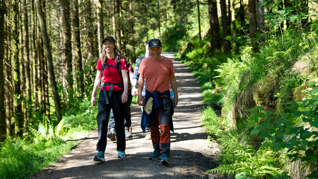 Small group of hikers walking along a forest path near Hosanger.