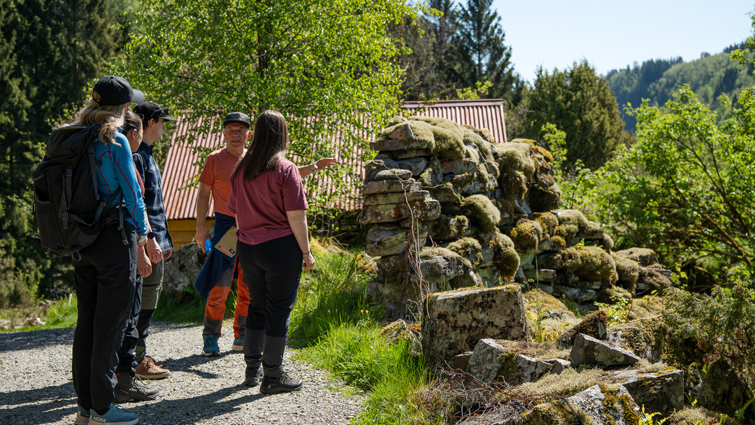 Den lokale turguiden forteller om gamle steingarden og historer