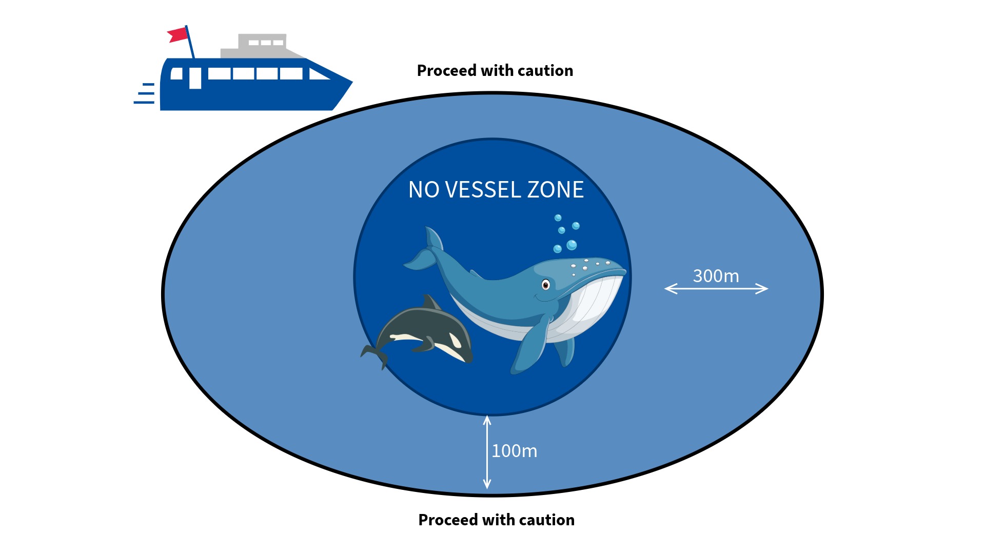 Illustration showing Rødne’s whale watching guidelines in Tromsø — keeping a safe distance and ensuring animal welfare during encounters with whales.